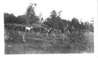 Quarter Circle U Ranch Roundup 1928