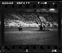 Bill Cunningham Calf roping, 12.6 Sec