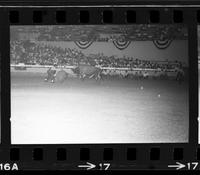 Unidentified Rodeo clown Bull fighting