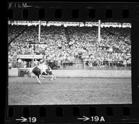 Rex Rossi Trick roping