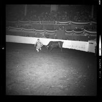 Unidentified rodeo clowns Bull fighting with Wildman