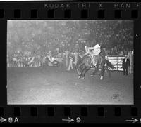 [Unknown Bareback rider]