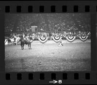 [Unknown Calf roper]