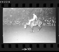 [Unknown Bareback rider]