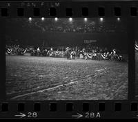 [Unknown Steer wrestler]