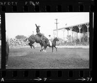 Russ Greeling on Big John