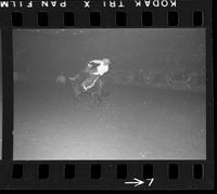 [Unknown Bareback rider]