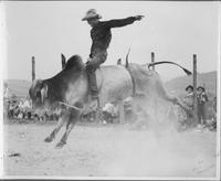 J.E. Ranch Rodeo Waverly, N.Y. Buck Dowell, 1939