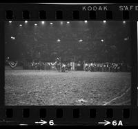 Ted Smalley Steer wrestling