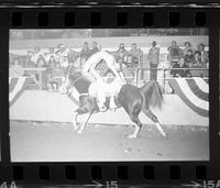Kathy Crow Trick riding