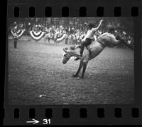 [Unknown Bareback rider]
