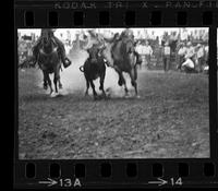Bill Servies Steer wrestling