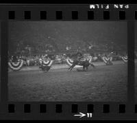 [Unknown Calf roper]