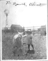 F Ranch, Odens [Child standing by goat with windmill, fence, and buildings in background]