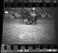 Ben Bates Steer wrestling