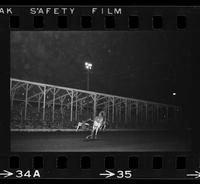 Butch Cody on Saddle bronc #111