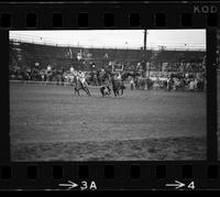 Walt Linderman Steer wrestling, 10.3 sec