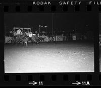 Gabe Pennell Steer wrestling