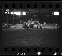 Junior Meek Steer wrestling