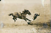 C. M. Montgomery thrown from 'Buzzar' Tex Austin Rodeo, Chicago