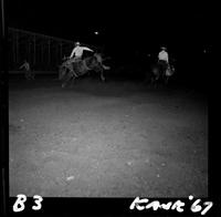 A.L. Scott on Saddle bronc #46