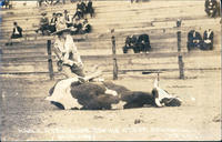 Mable Strickland Roping Steer San Antonio, Texas