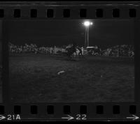 Fred Lucero Calf roping, 11.9 Sec