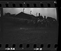 Bob Wright Calf roping