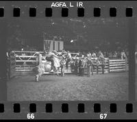 [Unknown Bull rider]