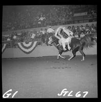Cathy Crow Trick riding