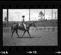 [Unknown cowgirl on horseback]