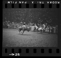 [Unknown Bareback rider]