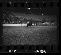 Cal Whitaker Calf roping