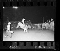 Ronnie Bowman on Bull #01
