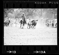 Duane Martin Steer wrestling, 12.1 Sec