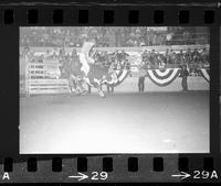 Harold Leftwich on Bull #1
