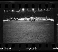 Don Douglas Steer wrestling, 10.6 Sec