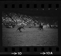 Clark Brown Calf roping, 14.5 Sec