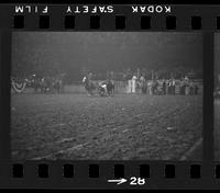 [Unknown Steer wrestler]