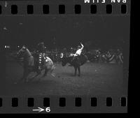 [Unknown Bareback rider]