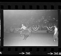 Gary Leffew on Bull #4