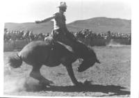 Carl Uncapher, Burns Rodeo, 1950 1st money