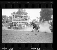 Tom Anderson Calf roping