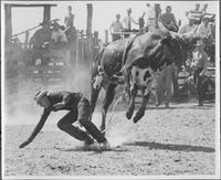 J.E. Ranch Rodeo Waverly, N.Y.