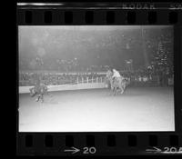Ernie Taylor Calf roping, 18.7 Sec