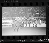 Don Frankenberger on Bull #126
