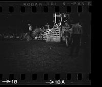 Bo Ashorn on Bull #3