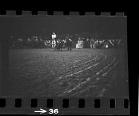 [Unknown Steer wrestler]