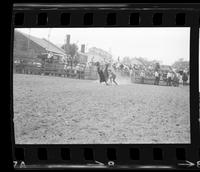 Rolla Hade Calf roping, 13.3 Sec