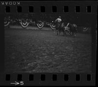 [Unknown Steer wrestlers]